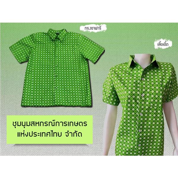 รูปภาพของ เสื้อเชิ้ตอัดกาวสุภาพบุรุษ