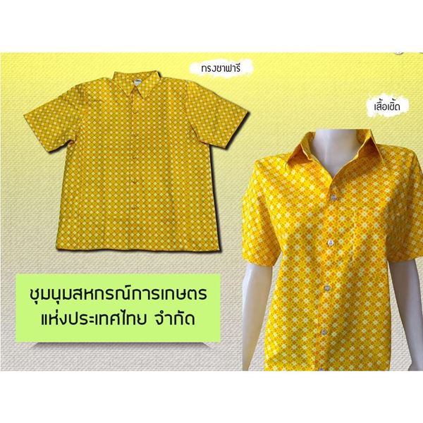 รูปภาพของ เสื้อเชิ้ตอัดกาวสุภาพบุรุษ สีเหลือง