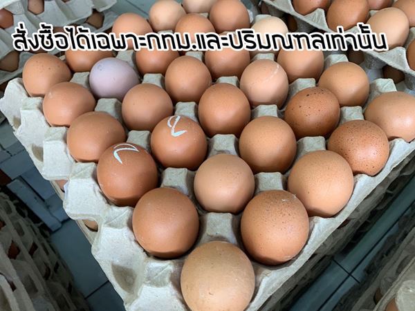 รูปภาพของ ไข่ไก่เบอร์ 2 (จำกัด  5 แผง ต่อท่าน )