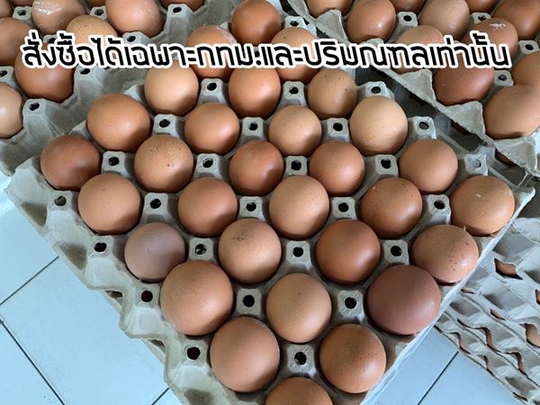 รูปภาพของ ไข่ไก่คละกลาง (จำกัด  5 แผง ต่อท่าน )
